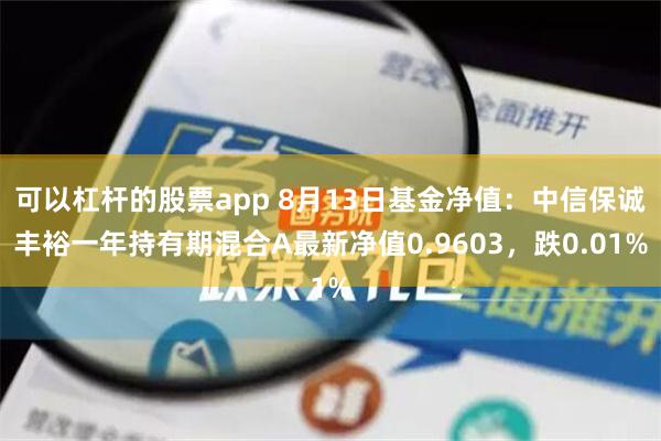 可以杠杆的股票app 8月13日基金净值：中信保诚丰裕一年持有期混合A最新净值0.9603，跌0.01%