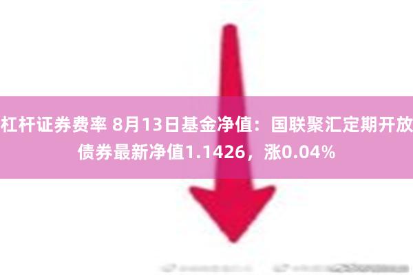 杠杆证券费率 8月13日基金净值：国联聚汇定期开放债券最新净值1.1426，涨0.04%