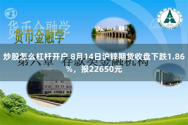 炒股怎么杠杆开户 8月14日沪锌期货收盘下跌1.86%，报22650元