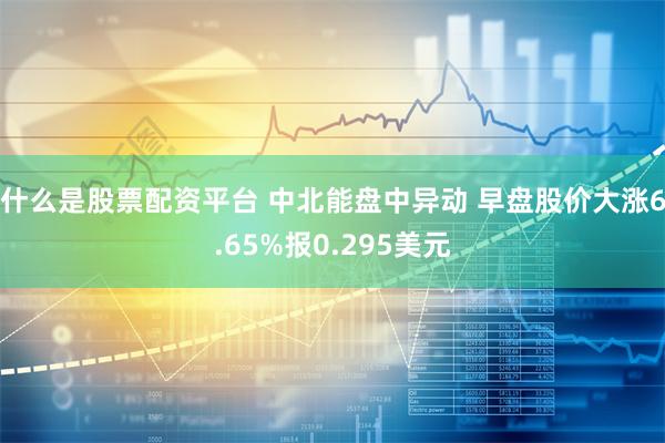 什么是股票配资平台 中北能盘中异动 早盘股价大涨6.65%报0.295美元