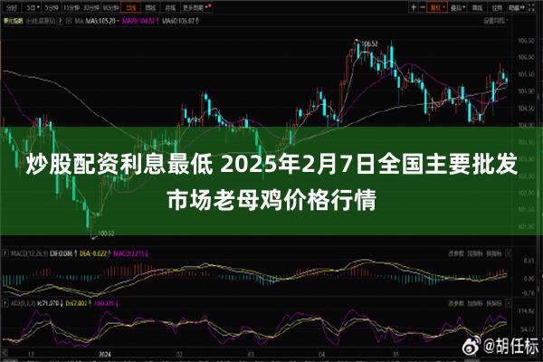 炒股配资利息最低 2025年2月7日全国主要批发市场老母鸡价格行情